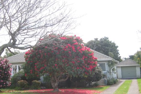 Photo of property in 31 Rimu Street, Gate Pa, Tauranga, 3112