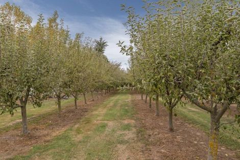 Photo of property in 80 Carters Terrace, Tinwald, Ashburton, 7700