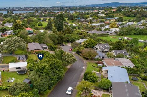 Photo of property in 10 Clifton Terrace, Brookfield, Tauranga, 3110