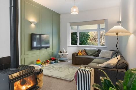 Photo of property in 141 Malvern Street, Woodhaugh, Dunedin, 9010