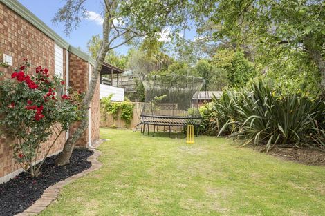 Photo of property in 29a Forest Hill Road, Henderson, Auckland, 0612