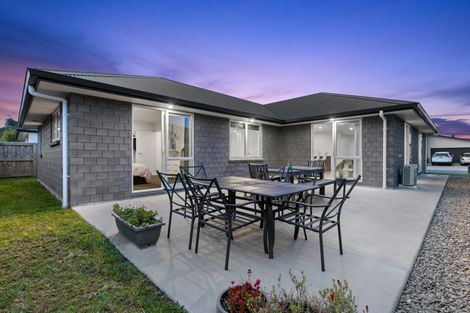 Photo of property in 55 Awataha Crescent, Pyes Pa, Tauranga, 3110