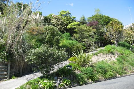 Photo of property in 64 Konini Street, Nelson South, Nelson, 7010