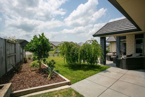 Photo of property in 5 Cotter Place, Cambridge, 3434