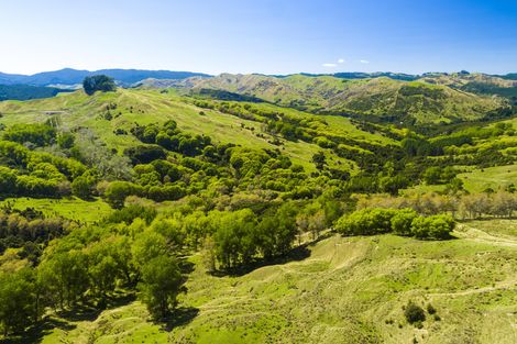 Photo of property in 1574 Kanakanaia Road, Whatatutu, Te Karaka, 4091