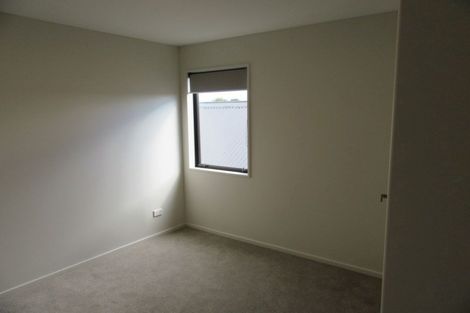 Photo of property in 87 Burke Street, Addington, Christchurch, 8024