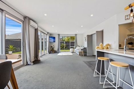 Photo of property in 50 Te Rito Street, Marshland, Christchurch, 8083