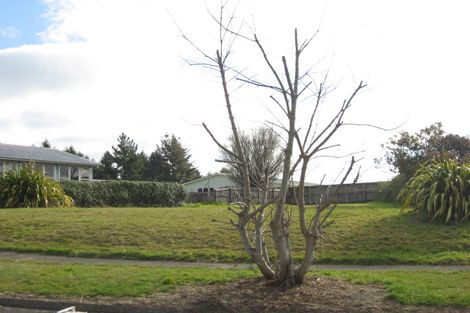 Photo of property in 53 Miro Drive, Murupara, 3025