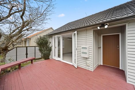Photo of property in 60 Alfred Street, Fairfield, Hamilton, 3214