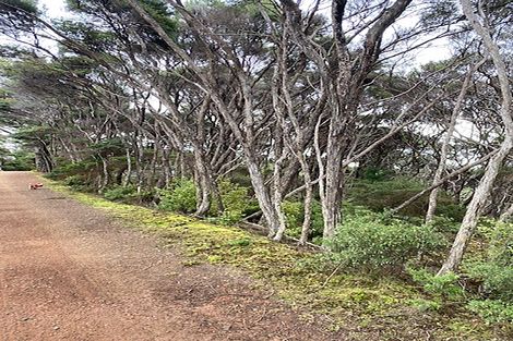 Photo of property in 19 Woods Ridge Road, Kawau Island, 0920