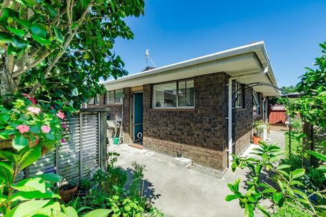 Photo of property in 45 Belvedere Avenue, Waikanae, 5036