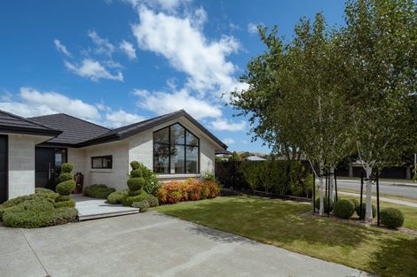 Photo of property in 2 Payne Place, Witherlea, Blenheim, 7201