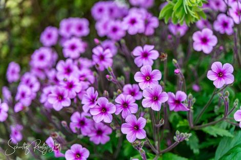 Photo of property in 109 Hurndall Street East, Maungaturoto, 0520