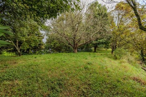 Photo of property in 47 Pook Road, Buckland, Pukekohe, 2677