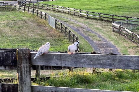 Photo of property in 287 Taurangaruru Road, Karioitahi, Waiuku, 2683