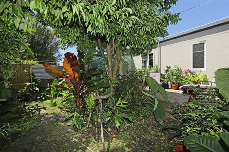 Photo of property in 5/103 Maddison Street, Akina, Hastings, 4122