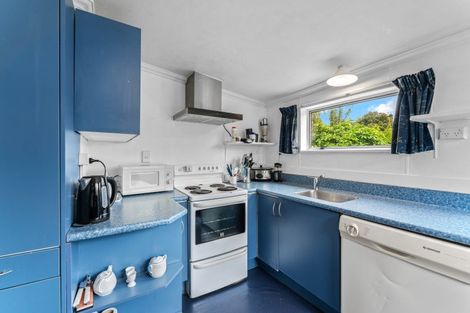 Photo of property in 25 Edwin Street, Caversham, Dunedin, 9012