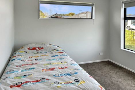 Photo of property in 20 Syrah Lane, Martinborough, 5711