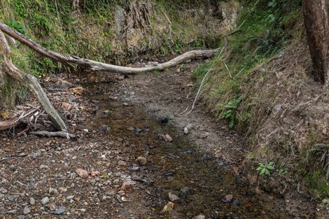 Photo of property in 183 Wainui Road, Torere, Opotiki, 3197