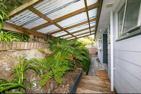 Photo of property in 14 Buccaneer Place, Grenada Village, Wellington, 6037