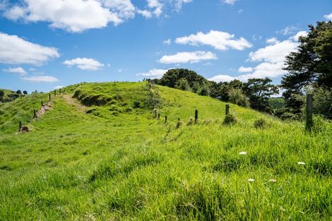 Photo of property in 278 Griffin Road, Maungaturoto, 0583