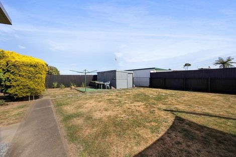 Photo of property in 14 Buchanan Place, Hawera, 4610