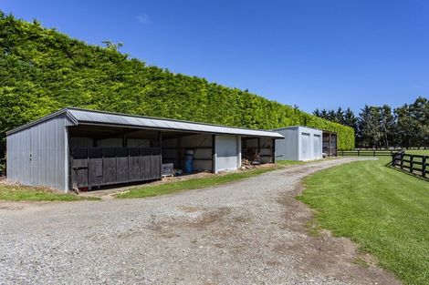 Photo of property in 1764 Tram Road, Swannanoa, Rangiora, 7475