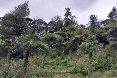 Photo of property in 1762 Kohumaru Road, Peria, Kaitaia, 0482