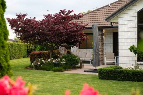 Photo of property in 14 Shadbolt Drive, Leamington, Cambridge, 3432