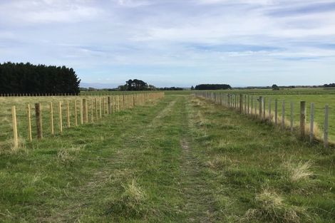 Photo of property in 172 Stewart Road, Feilding, 4479