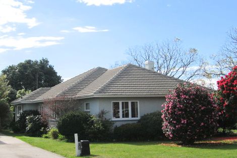 Photo of property in 31 Rimu Street, Gate Pa, Tauranga, 3112