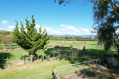 Photo of property in 3 Avenue North Road, Levin, 5510