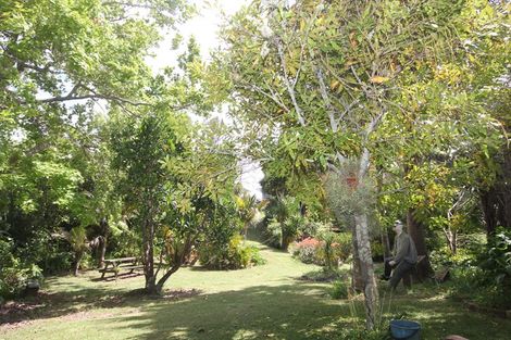 Photo of property in 124 Komiti Road, Tinopai, Matakohe, 0593