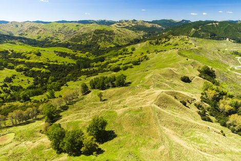 Photo of property in 1574 Kanakanaia Road, Whatatutu, Te Karaka, 4091