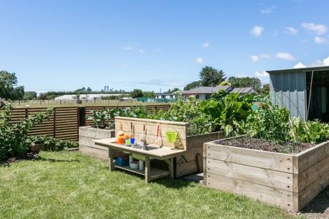 Photo of property in 81 Tollemache Road East, Longlands, Hastings, 4122