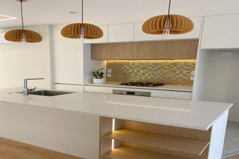 Photo of property in 8 Aoraki Crescent, Albany Heights, Auckland, 0632