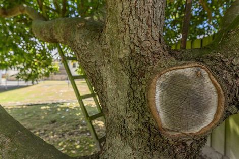 Photo of property in 42 Great South Road, Huntly, 3700