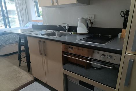 Photo of property in Dual Apartments, 108/142 Vivian Street, Te Aro, Wellington, 6011