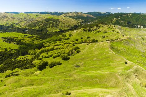 Photo of property in 1574 Kanakanaia Road, Whatatutu, Te Karaka, 4091