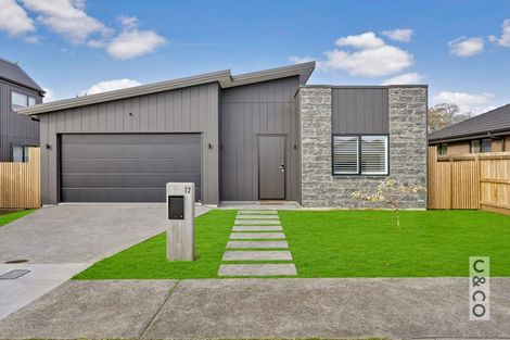Photo of property in 12 Paihere Street, Huapai, Kumeu, 0810