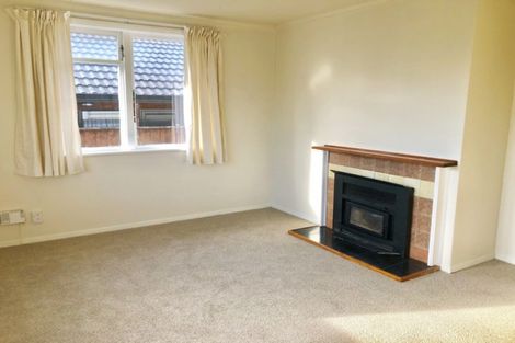 Photo of property in 47 Winchester Street, Levin, 5510