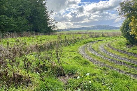 Photo of property in 179 Wilsons Crossing Road, Tussock Creek, Winton, 9781