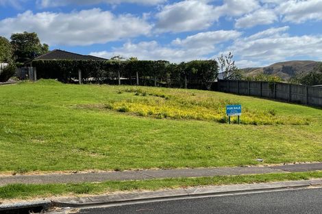 Photo of property in 12 Te Kauri Place, Helensville, 0800