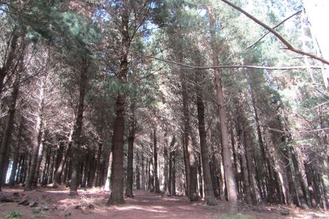 Photo of property in 61 Coutts Gully Road, Taieri Beach, Brighton, 9091