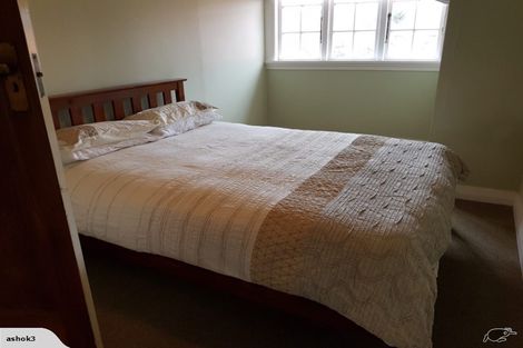 Photo of property in 62 Kings Crescent, Hutt Central, Lower Hutt, 5010