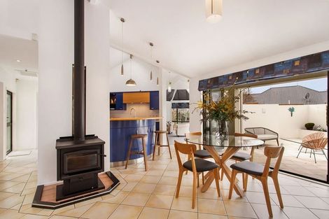 Photo of property in 117 Condell Avenue, Papanui, Christchurch, 8053