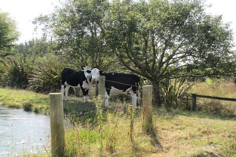 Photo of property in 53 Morven Beach Road, Morven, Waimate, 7980