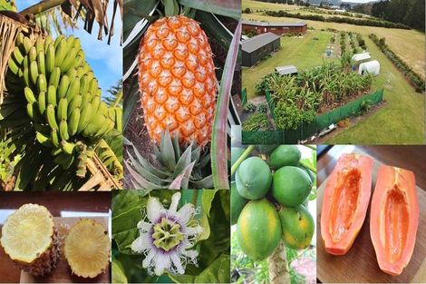 Photo of property in 4037 Far Road North, Pukenui, Kaitaia, 0484