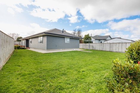 Photo of property in 96a Sherwill Street West, Feilding, 4702