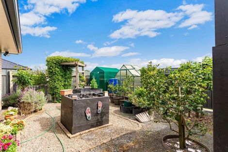 Photo of property in 21 Phoenix Place, Dargaville, 0310